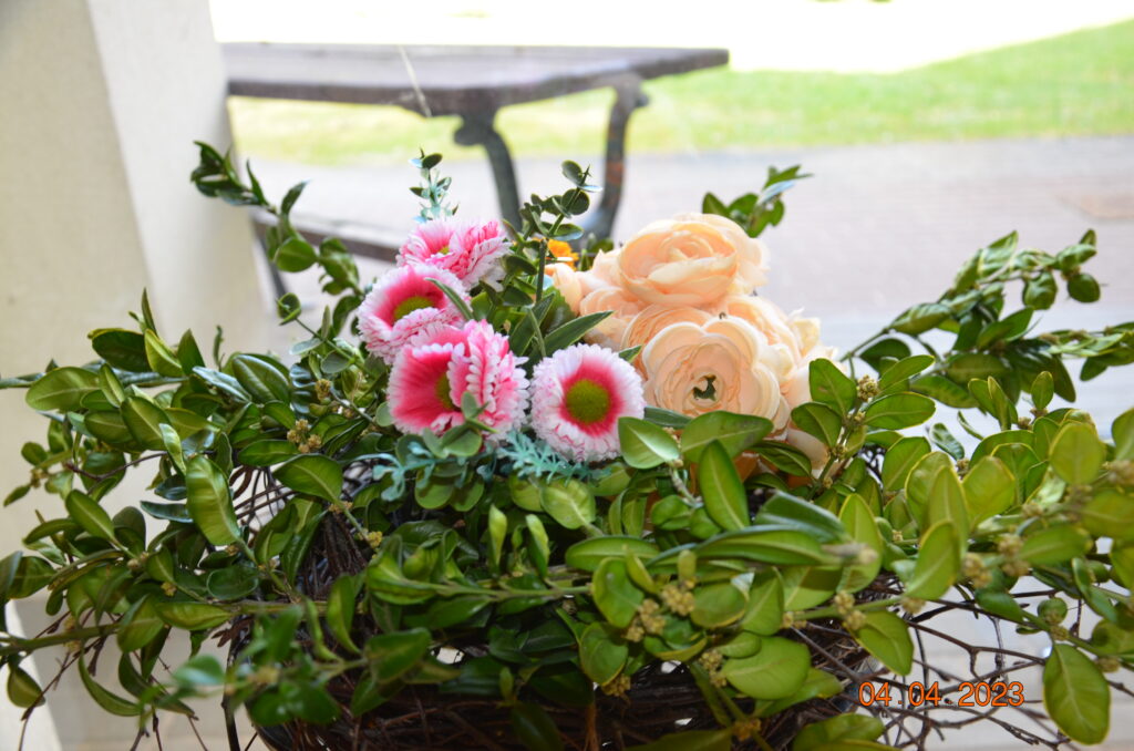 dekoracja wiosenna. koszyczek zielonego bukszpanu z różowymi stokrotkami