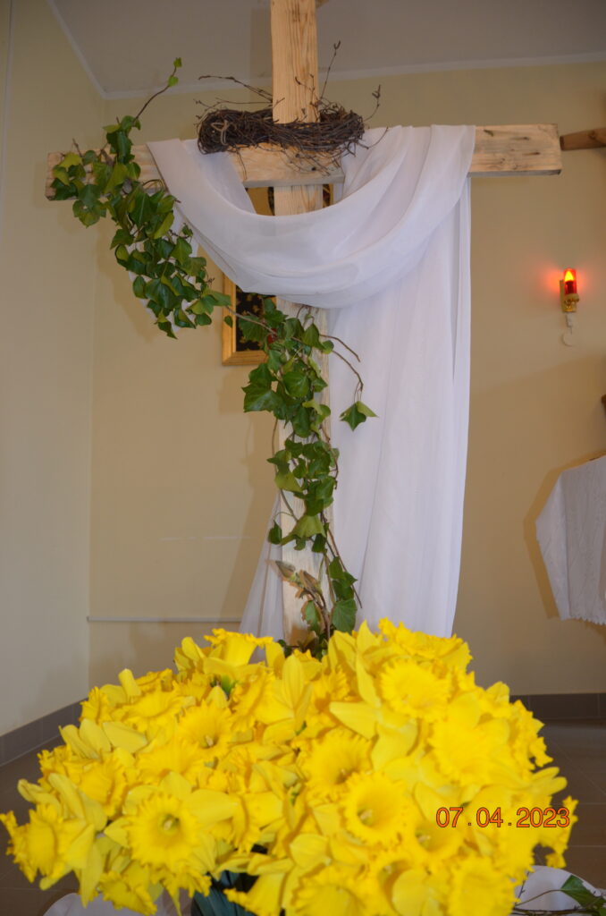 dekoracja w kaplicy. duży krzyż przyozdobiony białym płótnem, i żółtymi żonkilami  