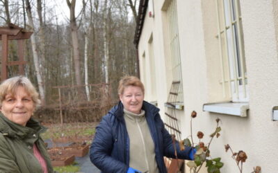 Wiosenne porządki